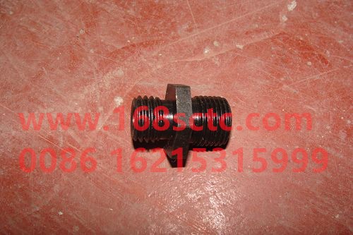 1307042-29D-FAW-Nut (water filter nut)-XiChaiFaDongJiCA6SL1-26E3