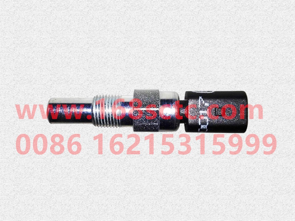 13060071