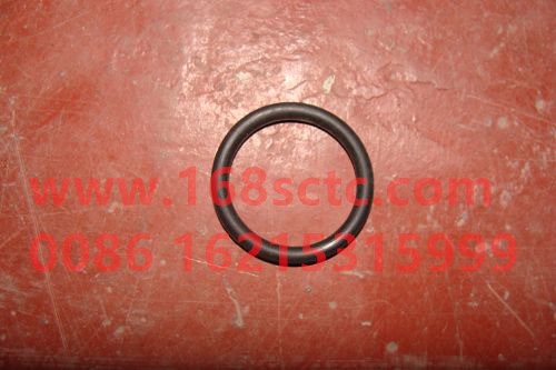 1112014-29D-FAW-oRing(injector)-XiChaiFaDongJiCA6DL2-33