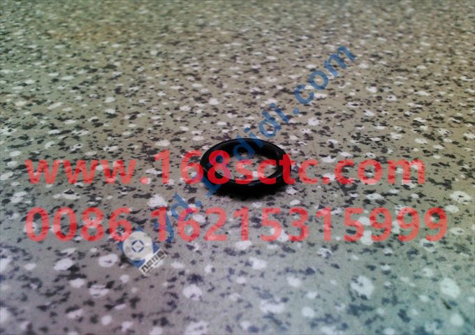 288730061