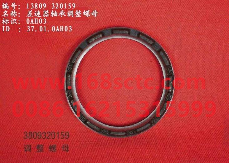 13809 320159-OTHERS-Nut (for rear axle main reducer)-ZiSuoLuoMu