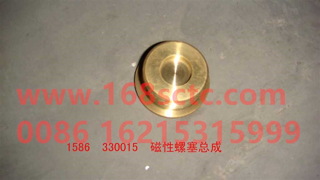 1586  330015-HONGYAN-Magnetic plug assembly-HongYan
