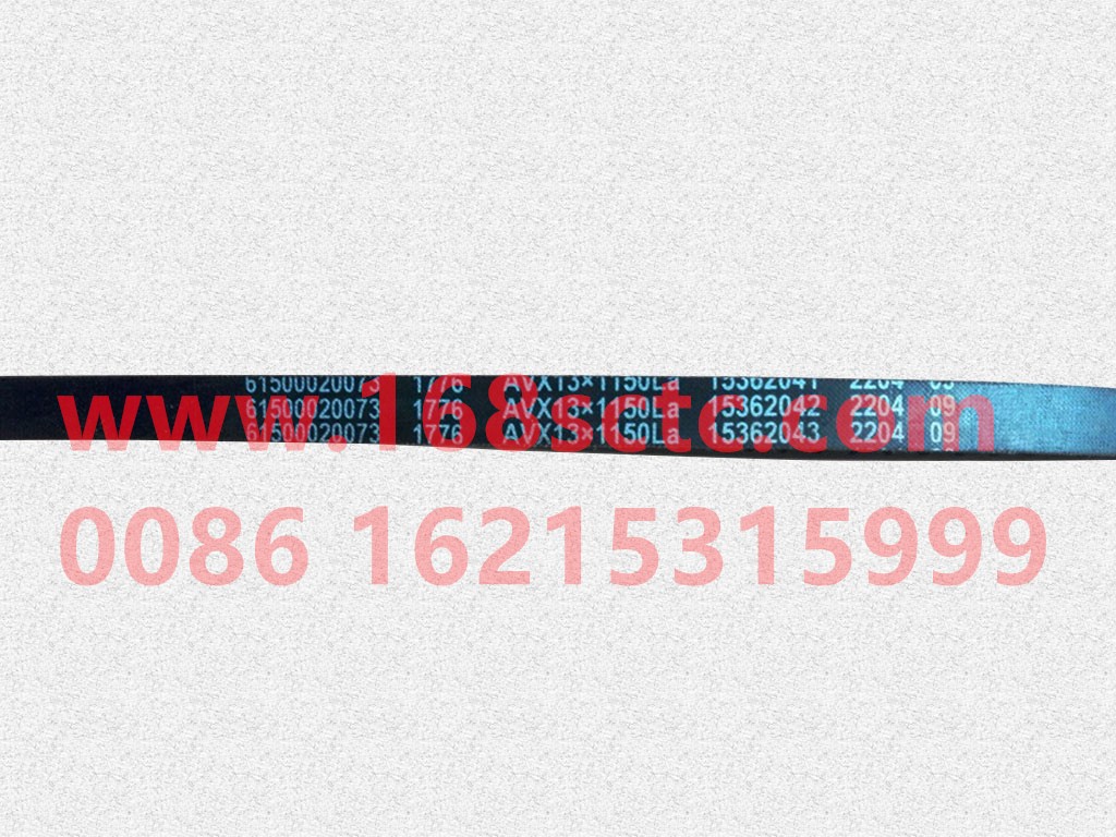 61500020073