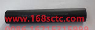 61500010079