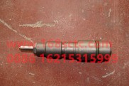 1112010-36D-FAW-fuel injectorEuro Ⅱ (installed193injector)-XiChaiFaDongJiCA6DL2J-33