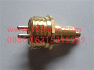 501203944