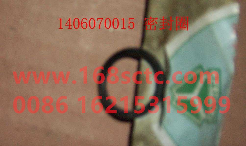 1406  070015-HONGYAN-sealing ring-HongYan