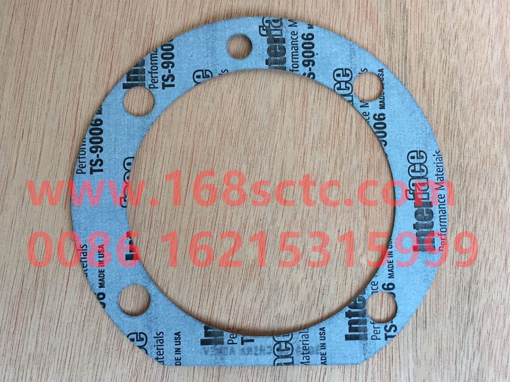 Fuel pump gasket