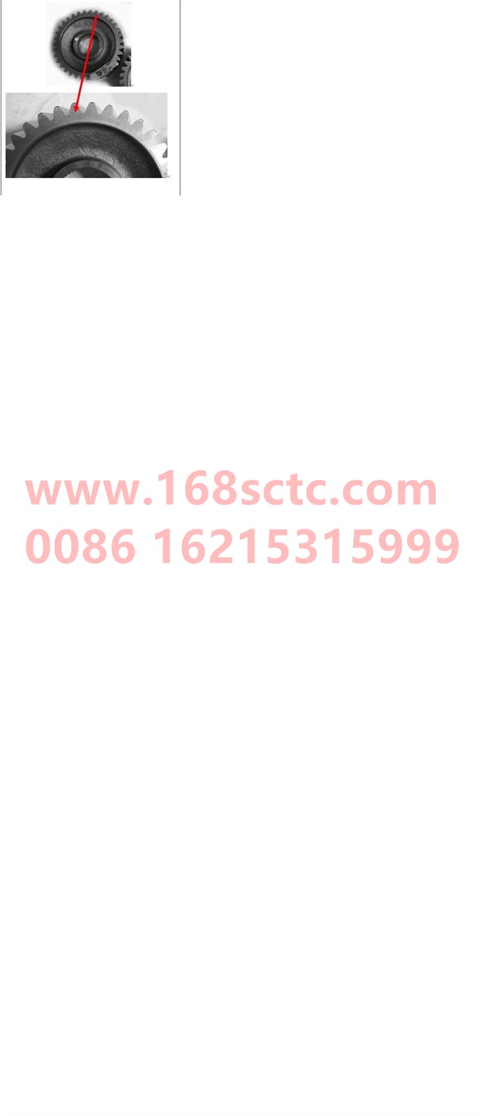 3892U4909-SINOTRUK HOWO-Driven cylindrical gear (finished driven cylindrical gear)-ZhongQiHW1279Qiao