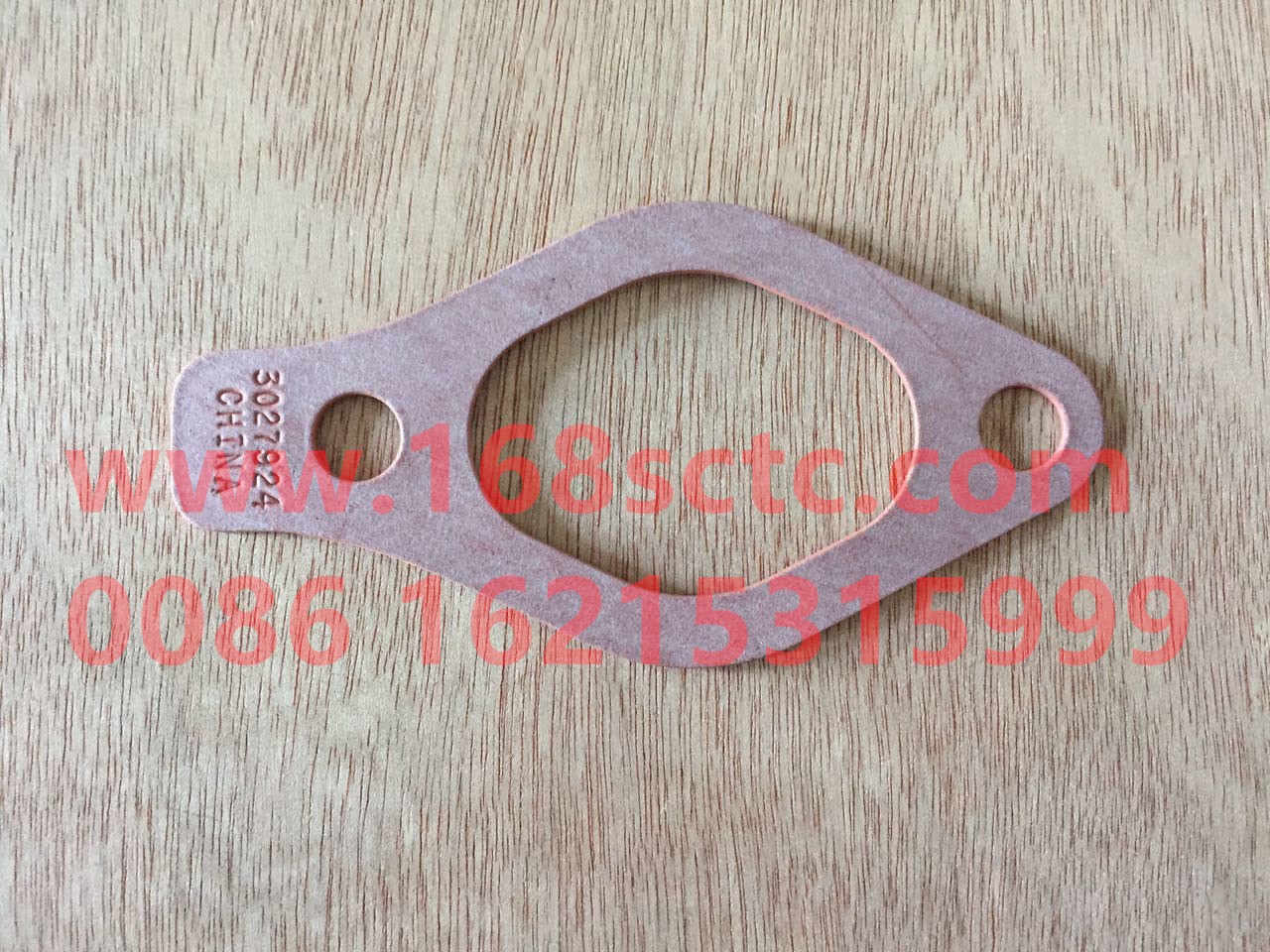 Pipe joint gasket