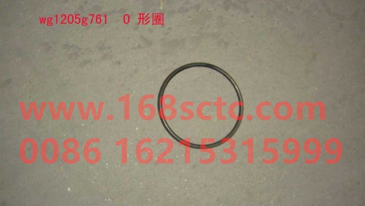 1205G761-SINOTRUK HOWO-O-ring-ZhongQiHW1697Qiao