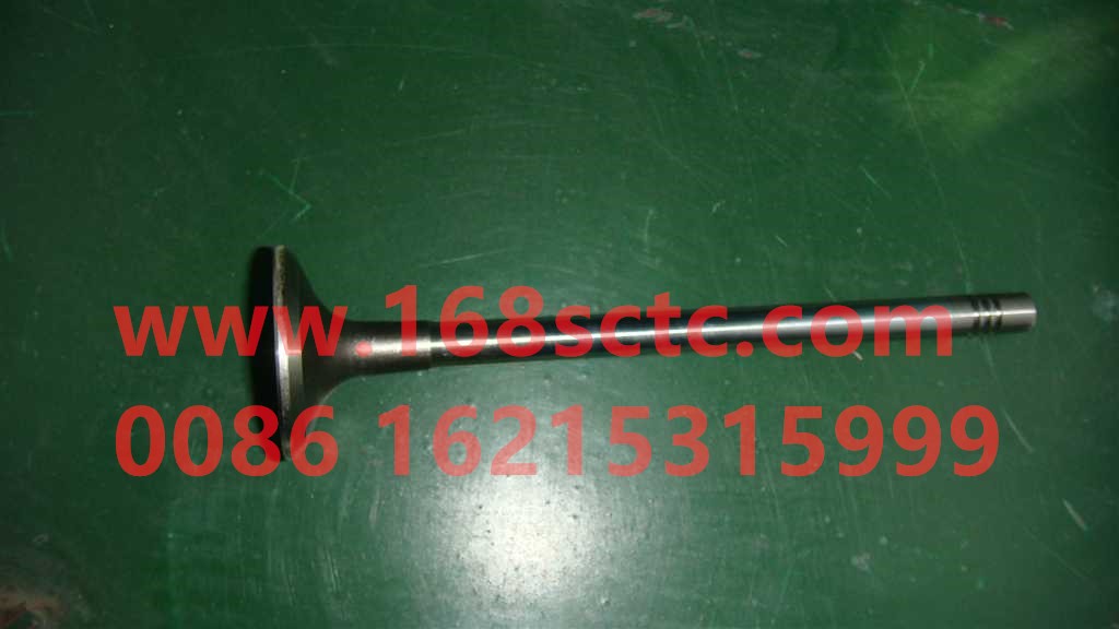 VG1096050014-SINOTRUK HOWO-exhaust valveThree slots-ZhongQiFaDongJiWT615.93