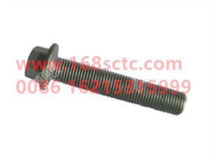 ZQ18114105TF6-OTHERS-Hexagon flange face bearing toothed bolt M14x1.5x105-LiuJiaoTouLuoShuan