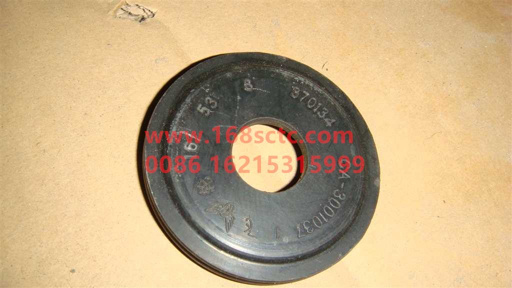 WG9925410105+031-OTHERS-Kingpin plugging assembly-KeManQianQiao
