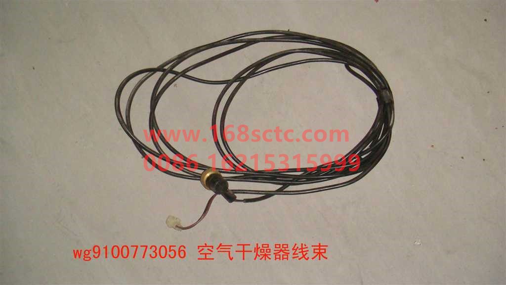 WG9100773056