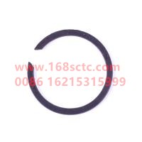 WDFLG525-1701333-11E1296