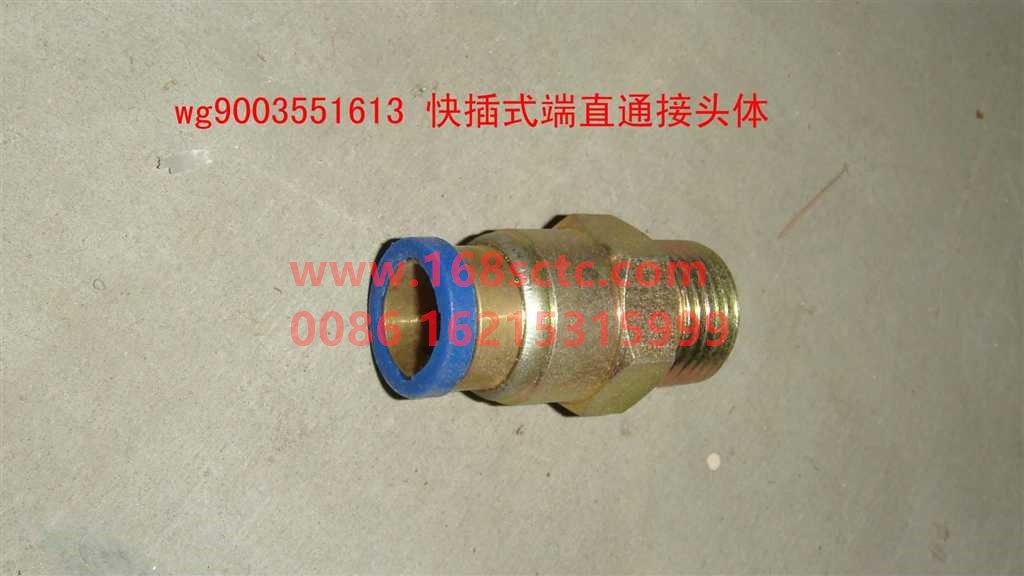 WG9003551613