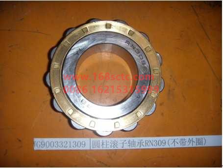 WG9003321309-OTHERS-Cylindrical roller bearing RN309-BianSuXiangZhouCheng