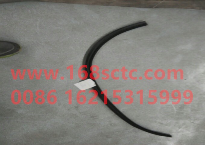 81.62910.0051-SHACMAN-rain gutter coverLeft-DeLongF2000 2007Kuan