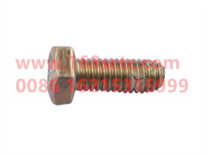 ZQ150B0616-OTHERS-Hex bolt M6x16-LiuJiaoTouLuoShuan