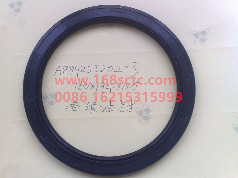 AZ9925520223-OTHERS-Oil seal (balance shaft oil seal 160x194x10.5)-HanDeSTRHouQiao