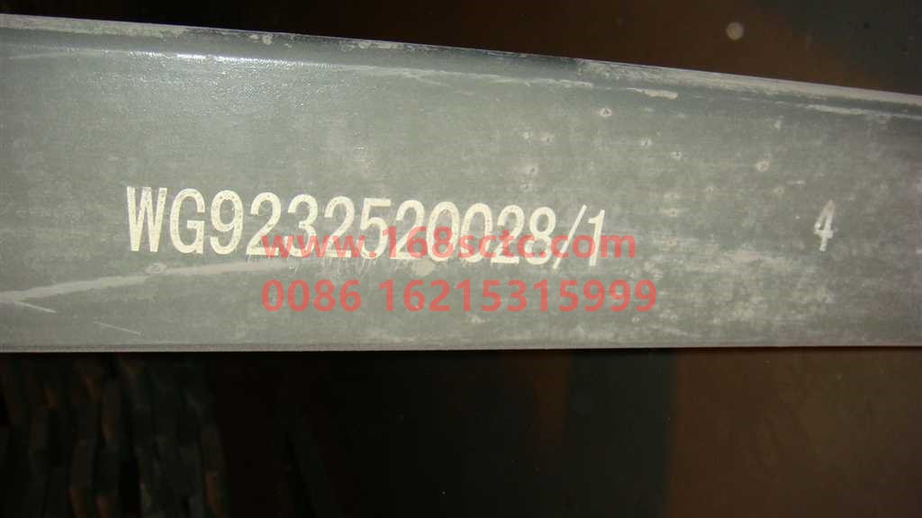 WG9232520028+004