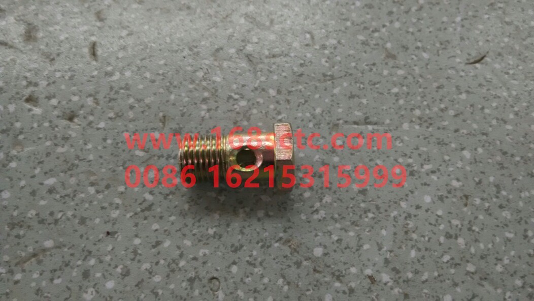 Hollow bolt A13D076236SZN