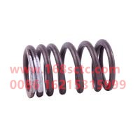 WDF4102.01.23E1296