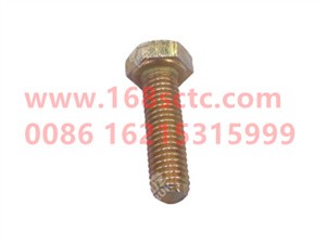 ZQ150B0825TF3-OTHERS-Outer hexagon bolt M8x25-LiuJiaoTouLuoShuan