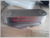 S61500010334D