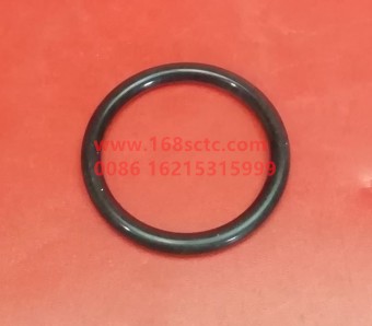 1288 730062-SINOTRUK HOWO-O-ring-ZhongQiSTRCheQiao