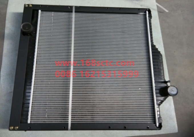 WG9125530903-SINOTRUK HOWO-heat sinkAluminum plasticgolden princeshort-JinWangZi2010Kuan