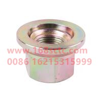 WDF31.91G135-03055E1296