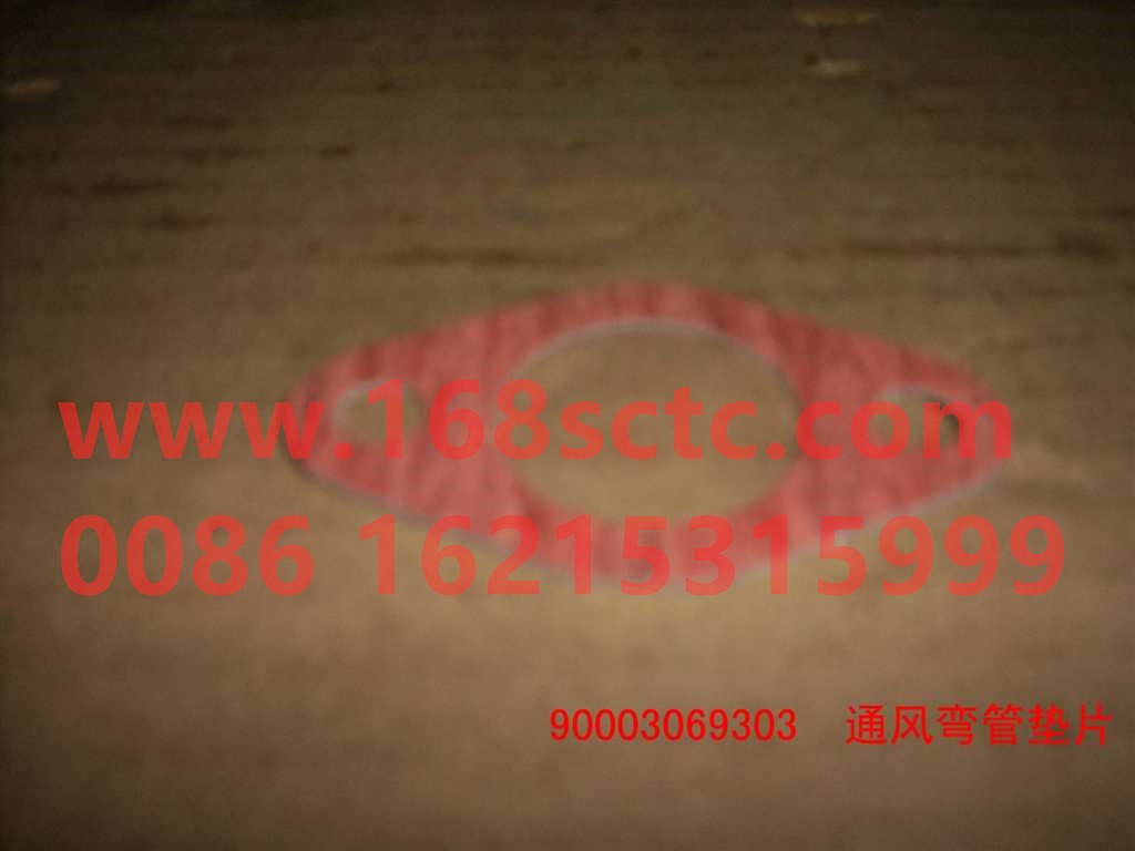 90003069303