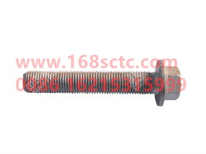 ZQ1811480TF6-OTHERS-Hexagon flange face bearing toothed bolt M14x1.5x80-LiuJiaoTouLuoShuan