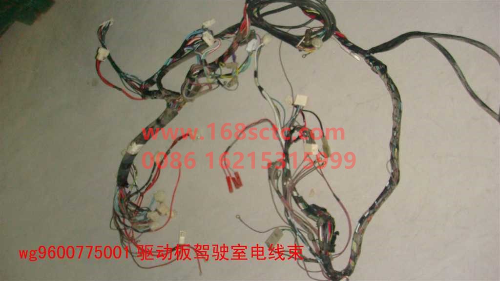 WG9600775001