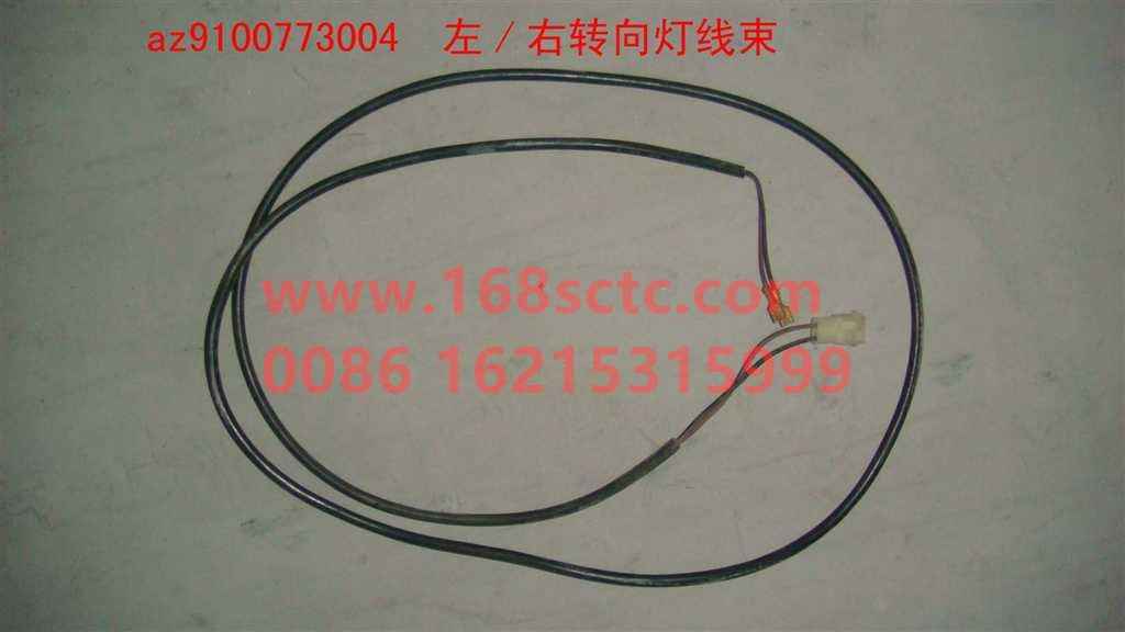 Left/right turn signal harness