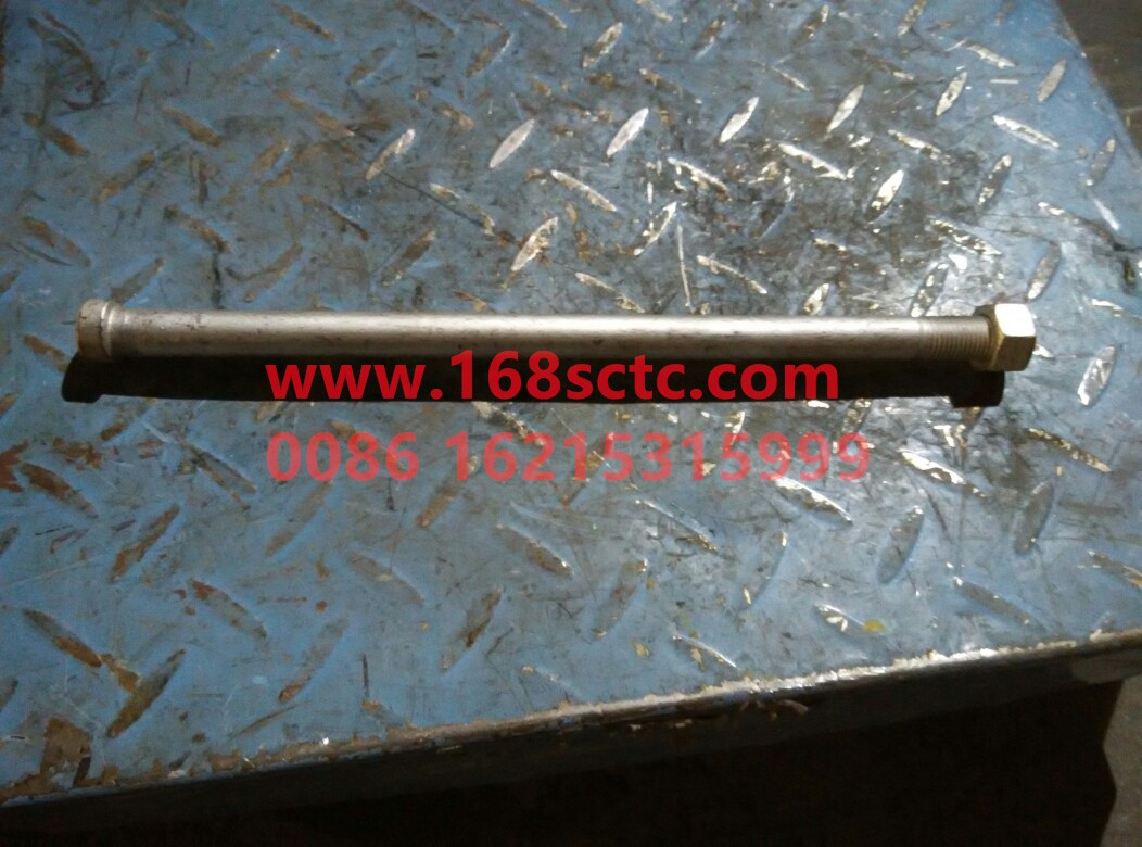 DZ91259690001ZXS-SHACMAN-Steel plate center bolt-AoLong2007Kuan