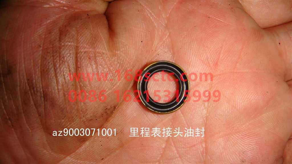 AZ9003071001-SINOTRUK HOWO-Oil seal (odometer joint oil seal)-ZhongQiBianSuXiangHW19710