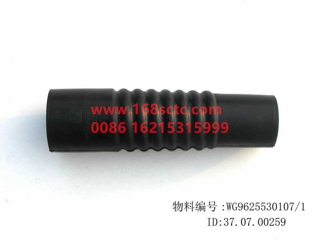 WG9625530107