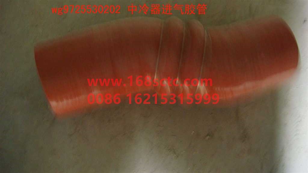 WG9725530202