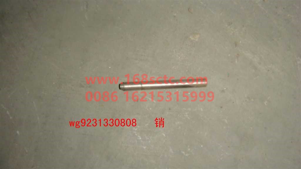 WG9231330808
