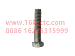 ZQ151B1465TF6-OTHERS-Outer hex bolt M14x1.5x65-LiuJiaoTouLuoShuan