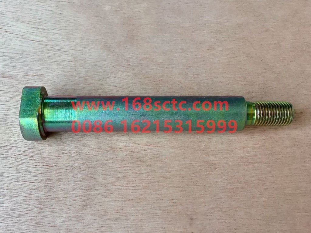 DZ15221443088-SHACMAN-pin-DeLongXinM3000 2013Kuan