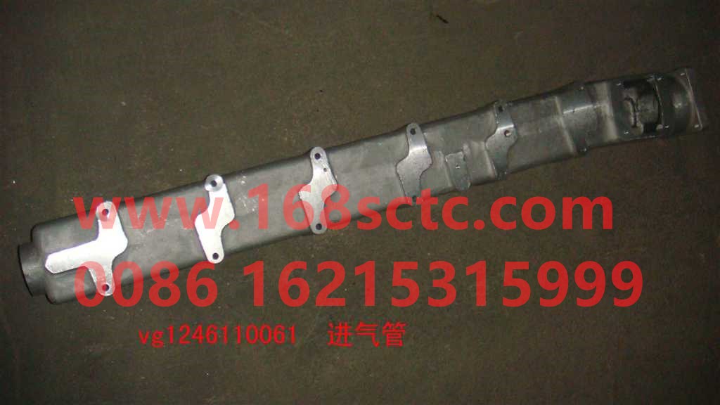 VG1246110061
