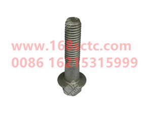 ZQ1841040TF6-OTHERS-Hex flange bolt M10x40-LiuJiaoTouLuoShuan