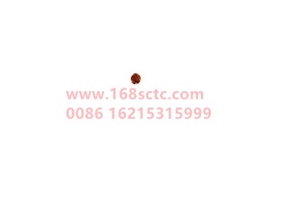 wg9725521286013