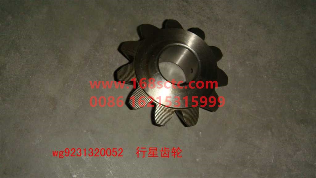 WG9231320052