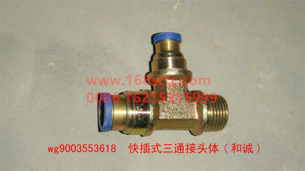 WG9003553618