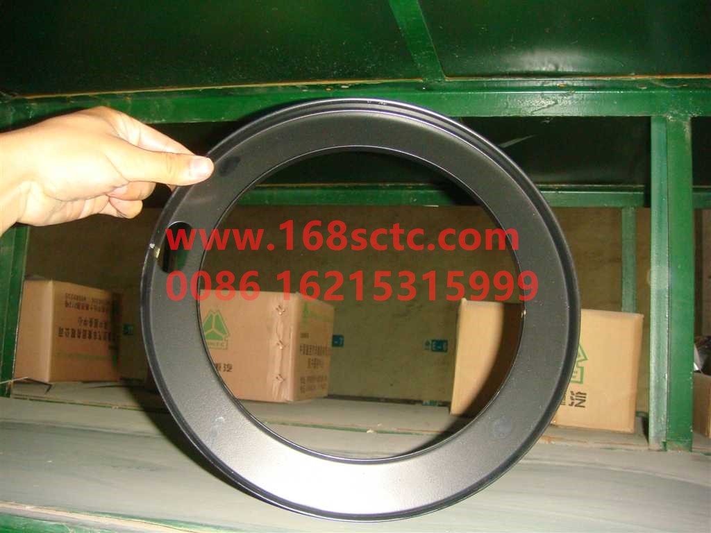 WG9970340113-SINOTRUK HOWO-Oil seal (rear wheel oil seal 220x245x30)01B-ZhongQiZhongQiaoAC26